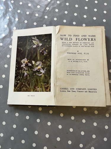 Vintage wild flowers - vintage,