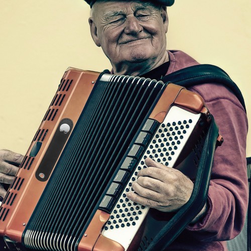 Fixation straps accordion - fixation,