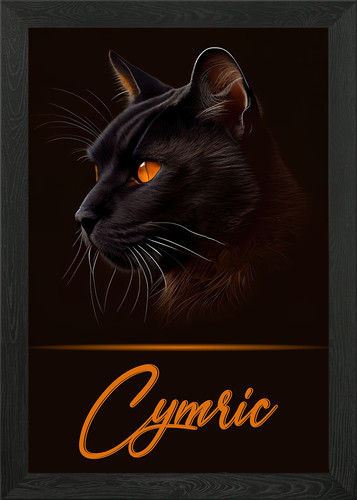 Cymric framed wall art - framed,