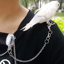 Elastic Parrot Traction Rope