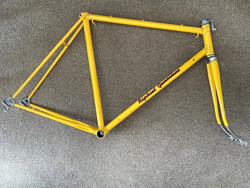 Raphael geminiani 58cm yellow - raphael,