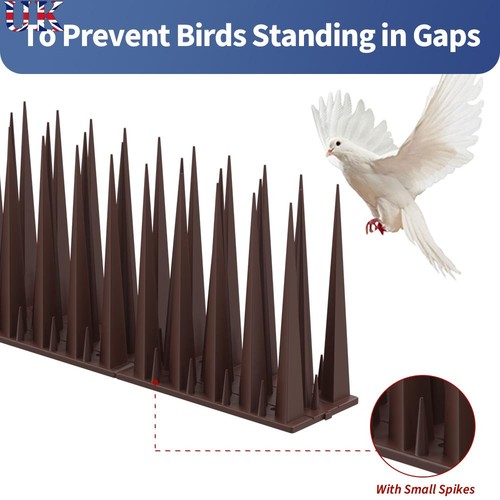 10cm bird spikes for pigeon - for,