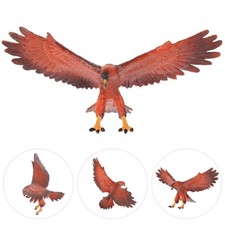  Simulation Eagle Model