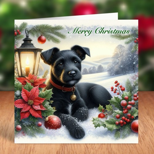 Patterdale terrier dog - terrier,
