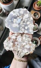 X2 Pink And Blue Flower Agate Crystal Slabs