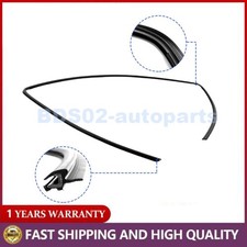 Rear window glass weatherstrip - glass,