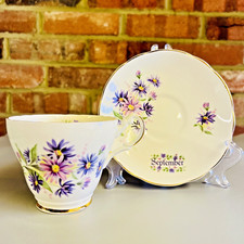 Argyle Tea Cup & Saucer Bone