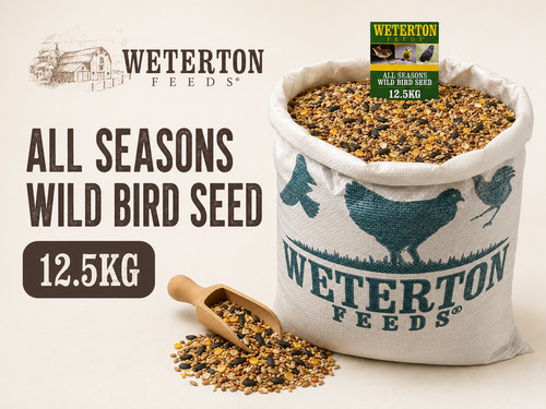 Wild bird seed - wild, “all