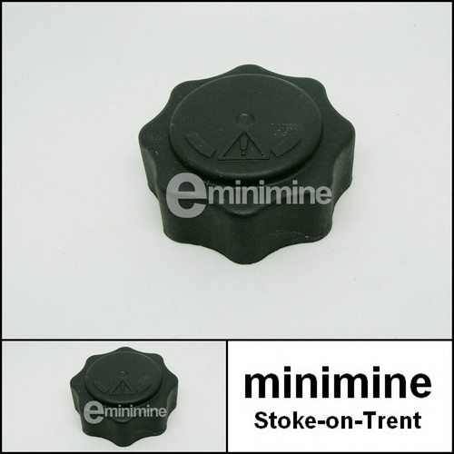Classic mini mpi expansion - mini,
