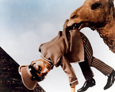 Parker Thunderbirds [1033187]