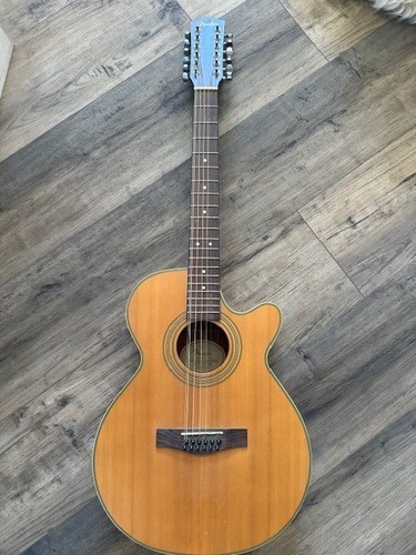 Acoustic electric string - acoustic,