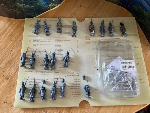 Napoleonic french line - french,