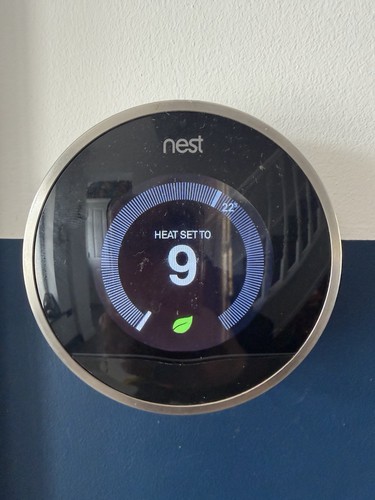 Google nest learning - google,