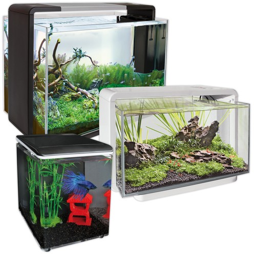 Superfish home aquarium with - superfish,