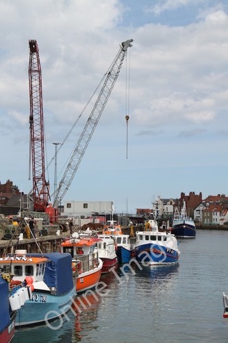 Photo 6x4 whitby harbour - photo,