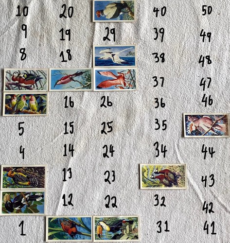 Brooke bond tea tropical birds - brooke,