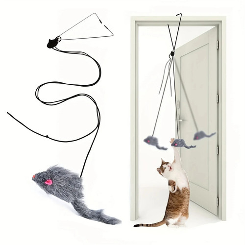 Door hanging cat - hanging,