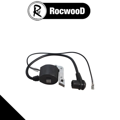 Ignition module coil - ignition, assembly