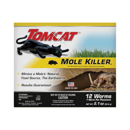 Tomcat mole killer worm - tomcat,