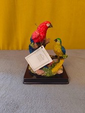 Academy -Tropical Parrot