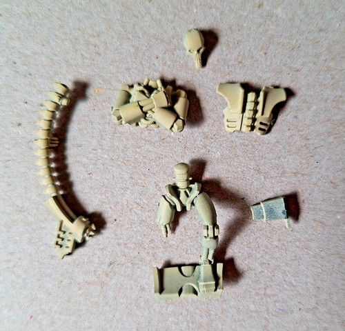 Necron ghost ark warrior - necron,