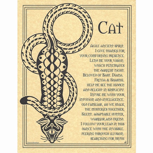Cat prayer poster - prayer, 8.5