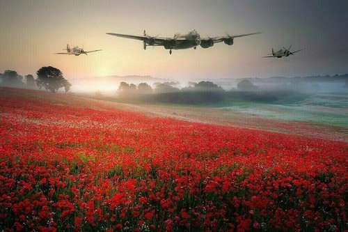 Lancaster spitfire and poppy - spitfire,