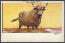 Lemco types of cattle