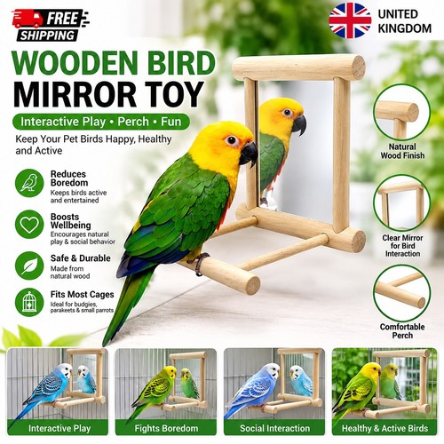 Wooden bird mirror interactive - bird,
