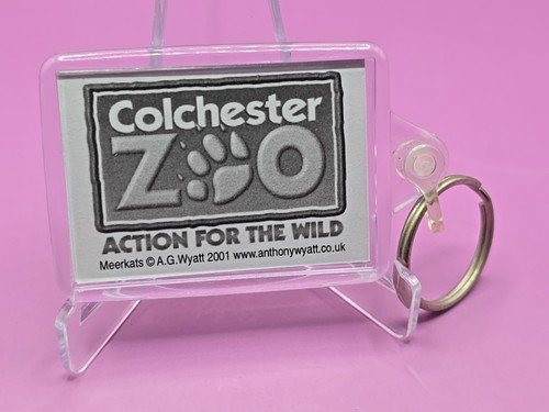 Keyring key ring - keyring, keychain