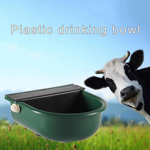 Cattle water bowl with - water,