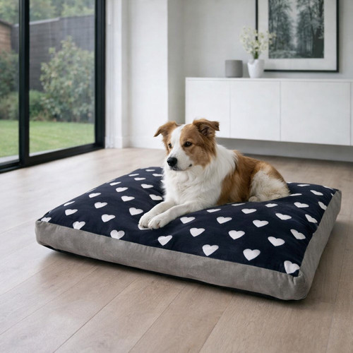 Luxury hearts design - design, dog/pet
