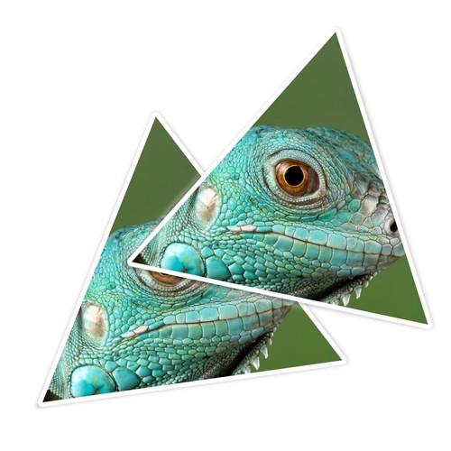 Triangle shape vinyl - 2x,