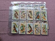 COMPLETE SET - ADKIN -