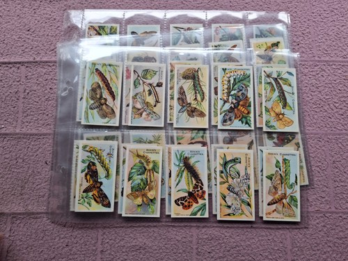 Complete set adkin - complete,