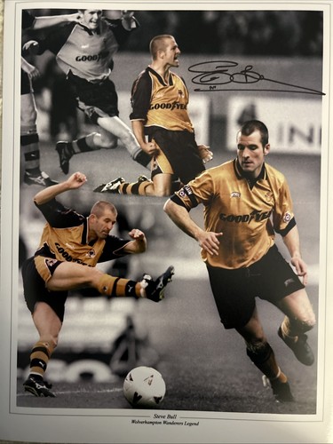Sale steve bull 16x12 - ,