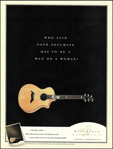 Breedlove american series - breedlove,