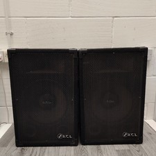 Vintage R.C.L. 100W PA Speaker