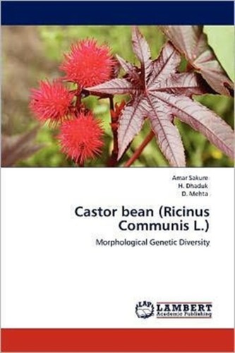 Sakure castor bean - castor, ricinus
