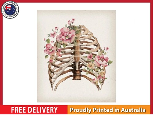 New rib cage - (laminated),