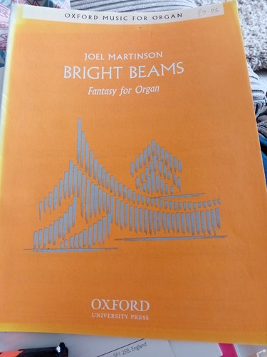 Bright beams joel martinson - by,