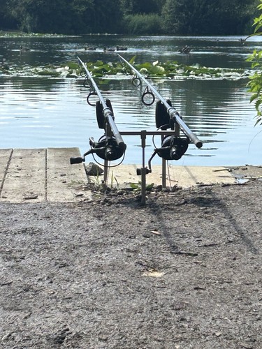 Kodex carp rods 12ft - kodex,