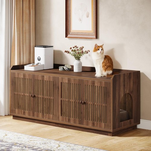 Cats litter box - cats,