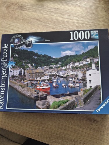 1000 piece jigsaw - piece,
