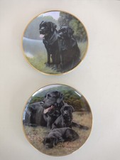 2 Labrador Collectors Plates