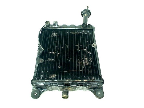 Radiator honda 1000 - radiator,