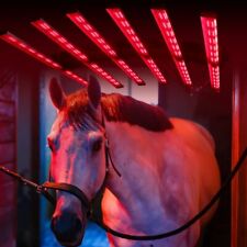 Horse Solarium Redfy Barn Use Infrared Led Equine Solarium Device