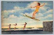 Vintage Linen Postcard Ski