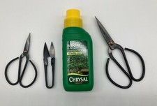 Bonsai Starter Kit
