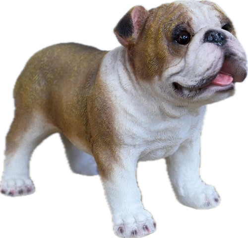 Fred the bulldog resin - fred, |
